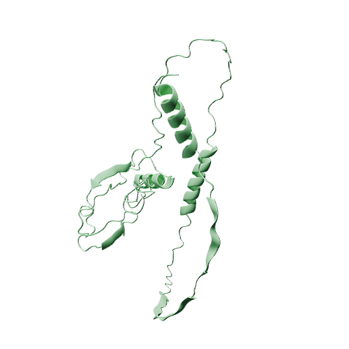 P39905-Human GDNF-3d structure.jpg